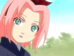 Sakura child