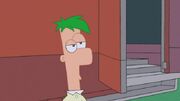 Ferb