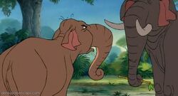 hathi and winifred story