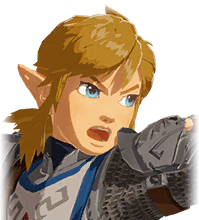 Link's Angry Mugshot.
