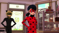 Animan - Cat Noir and Ladybug 14