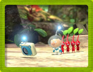 Alph reuniting with his lost Koppad.