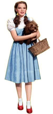 Tenki dorothy store
