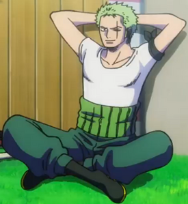 Roronoa Zoro's Outfit During The Skypiea Arc - One Piece Zoro