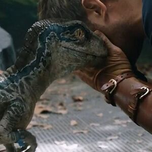 Blue Jurassic World Gallery Heroes Wiki Fandom We have hd wallpapers jurassic world for desktop. blue jurassic world gallery heroes
