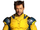 Wolverine (Marvel Cinematic Universe)