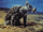Anguirus