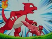 Paras