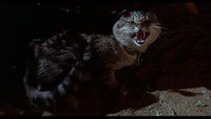Clovis screeches on two humans (the presumed means likely "Run! Get out of here!").