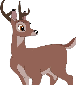 Buck