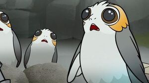 Star Wars Forces of Destiny Porg Problems Disney