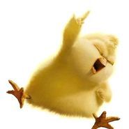 Hop-photo-phil-chick