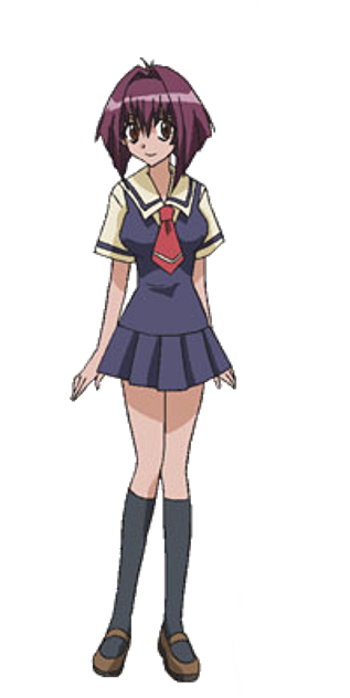 Karin Maaka Heroes Wiki Fandom