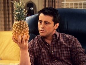 Joey flirting a pineapple 