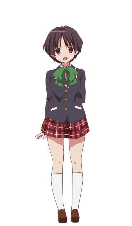 Love, Chunibyo And Other Delusions, Wiki