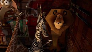 Madagascar 3 Alex and Marty pic