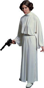 Princess Leia Organa is a famous example of a Princess Warrior.