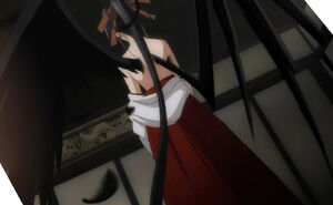 Akeno's wings: one of a devil and one of a fallen angel