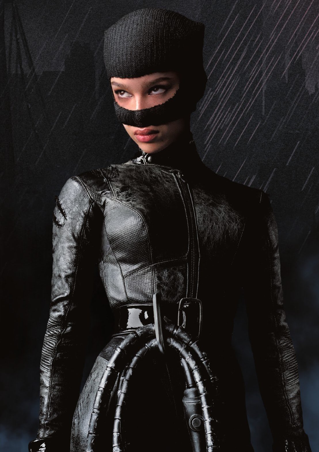 Catwoman (Reevesverse) Heroes Wiki Fandom