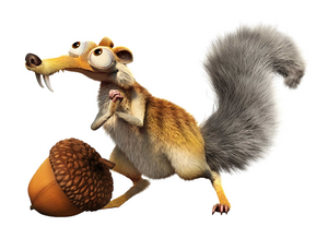 Scrat nut 2