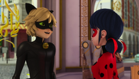 Animan - Cat Noir and Ladybug 20