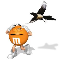 Orange M&M (character), Chocolate Wiki