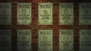 Night Raid Wanted Posters