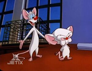 PINKY AND THE BRAIN ON JETIX 3