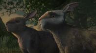 Holly and Blackavar