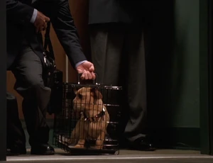 Odie doggnapped by Happy Chapman