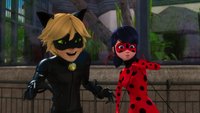 Animan - Cat Noir and Ladybug 02