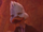 Howard the Duck (Marvel Cinematic Universe)