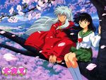 1Kagome (73)