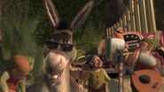 Donkey sunglasses