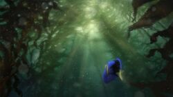 Early concept art from Finding Dory.