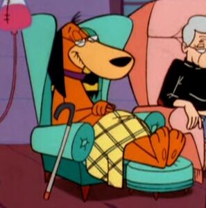 Elderly Doggie Daddy Shown In I Am Weasel.