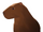 Capybara