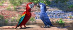 rio 2 felipe