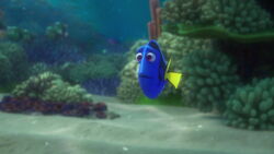 Finding-dory-disneyscreencaps.com-563