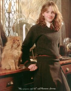 Hermione with a cat named Crookshanks.