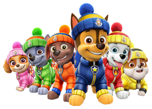 Paw patrol arctic pups store