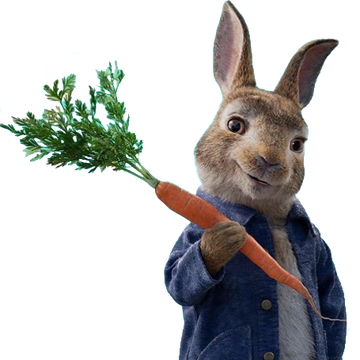 peter rabbit 2018 heroes wiki fandom