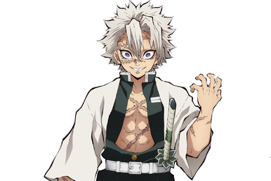 Demon Slayer Character Spotlight: Sakonji Urokodaki — Poggers