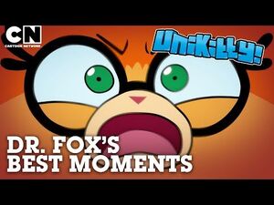 Dr. Fox's Best Moments