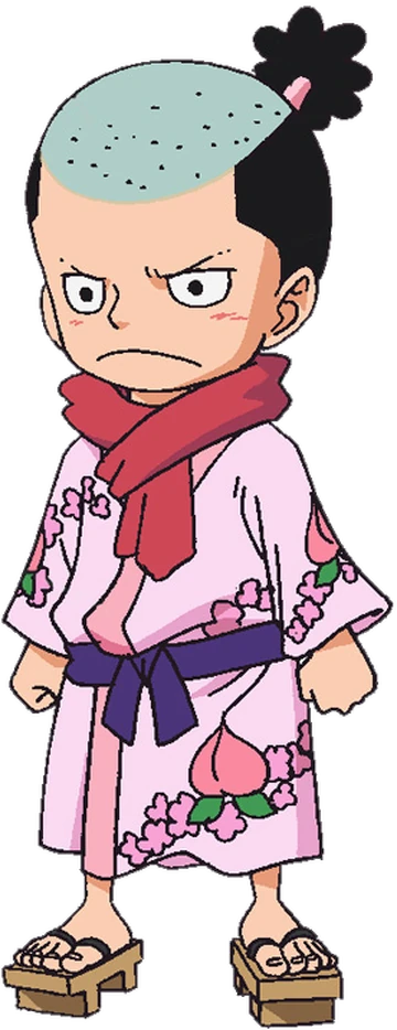 Momosukeさま・ワンピース Momosukeさま・ワンピース・B生地