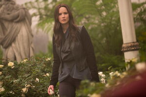 Mockingjay Part 2 Stills Katniss Rose Garden