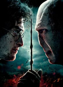 Harry Potter vs. Lord Voldemort.