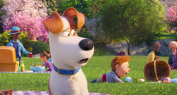 Secretlifeofpets2-animationscreencaps.com-82