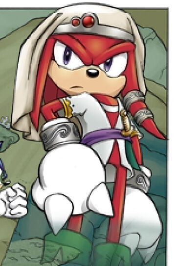 Knuckles the Echidna (OVA), Heroes Wiki