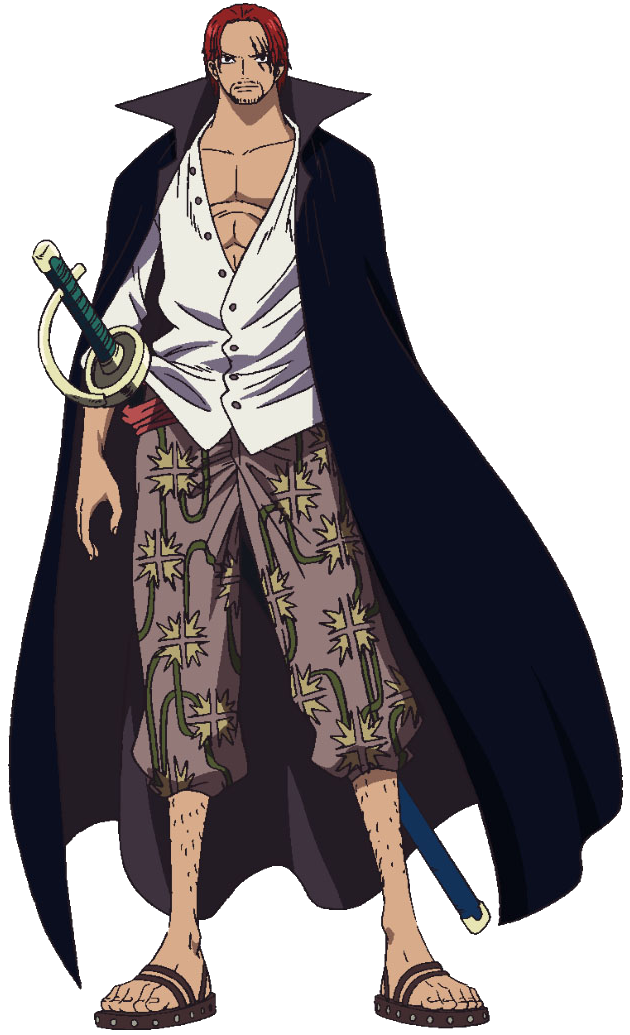 Roronoa Zoro, Heroes Wiki, Fandom